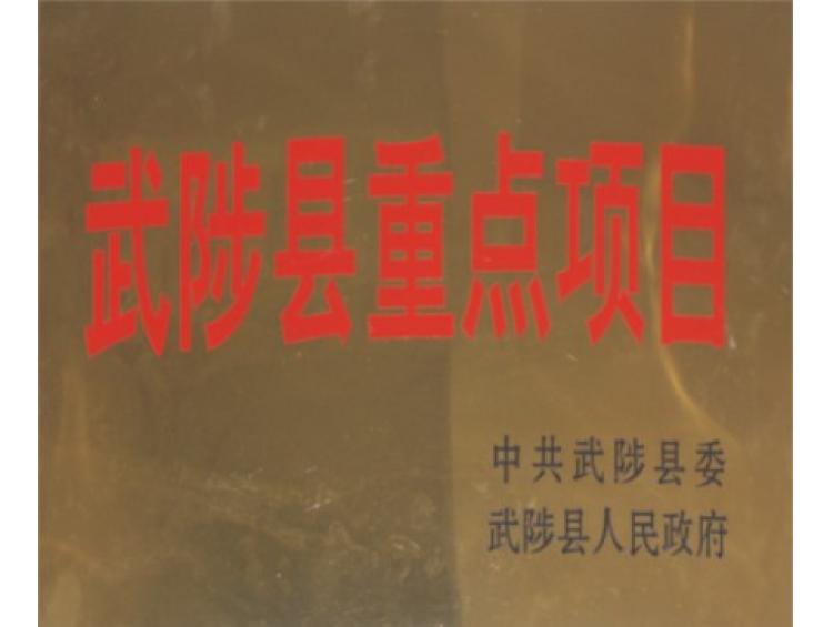 武陟縣重點項目