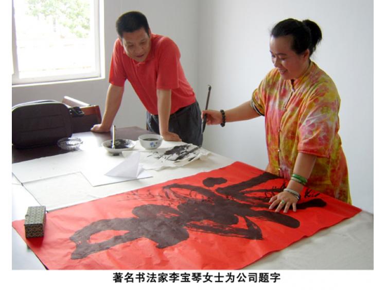 著名書(shū)法家李寶琴為公司題詞